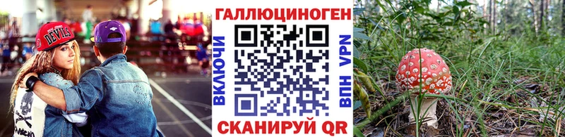 хочу   Кандалакша  Псилоцибиновые грибы Psilocybine cubensis 