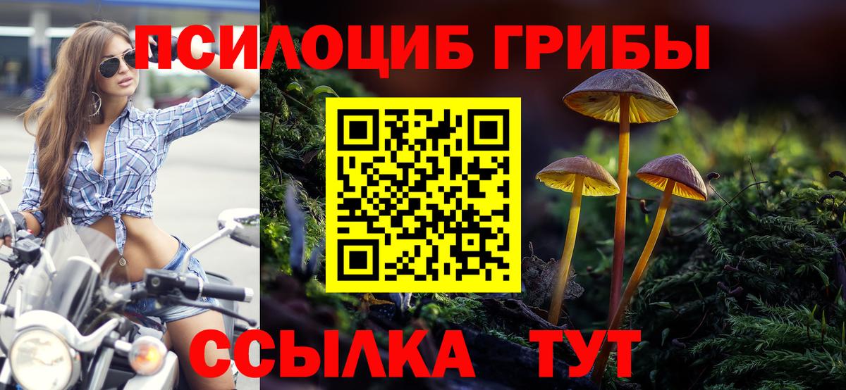 Галлюциногенные грибы мицелий Кандалакша