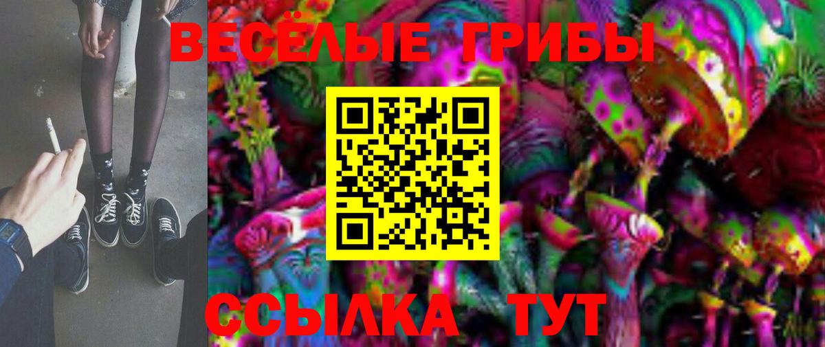 Кандалакша  Галлюциногенные грибы мицелий  Вход с VPN 